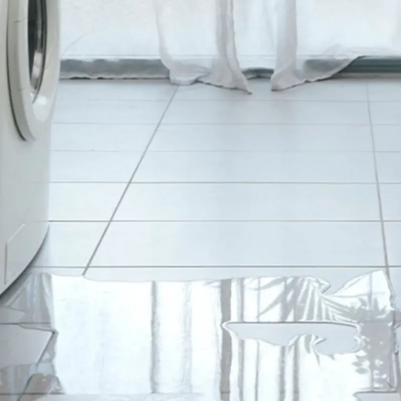Appliance Leak Cleanup in Sun Prairie, MT