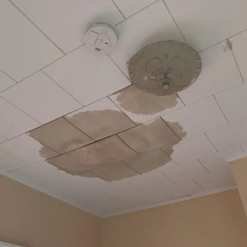 Ceiling Water Damage Repair in Sun Prairie, MT